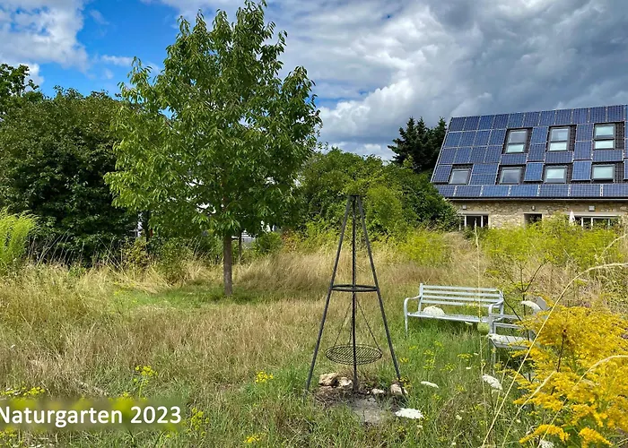 Hofhaus mit Riesengarten - gemütliches Häuschen im Kern des schönsten Mainzer Stadtteils Finthen